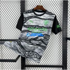 Maglia Manchester City 2025/2026 Versione Concettuale Grigio