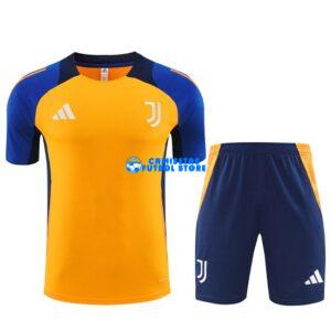 Maglia Juventus Calcio 2024/2025 Giallo
