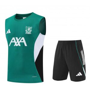 Maglia Liverpool Especial Calcio 2026/2027 Senza Maniche Verde